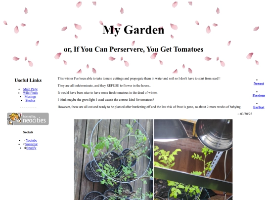 MyGarden10 screenshot