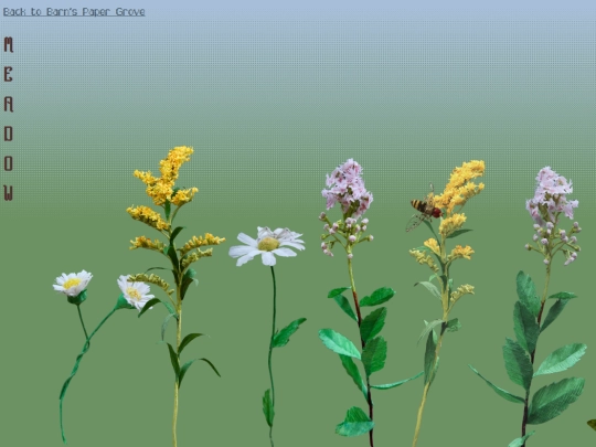 meadow screenshot