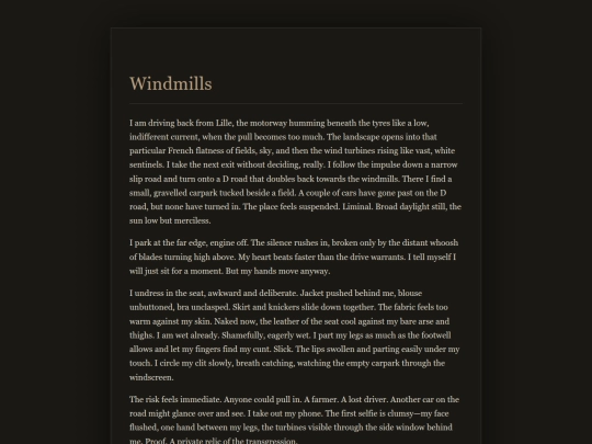 Confessions/Windmills screenshot