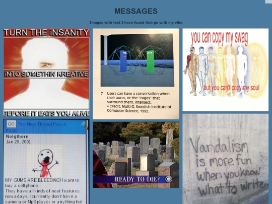 photo screenshot