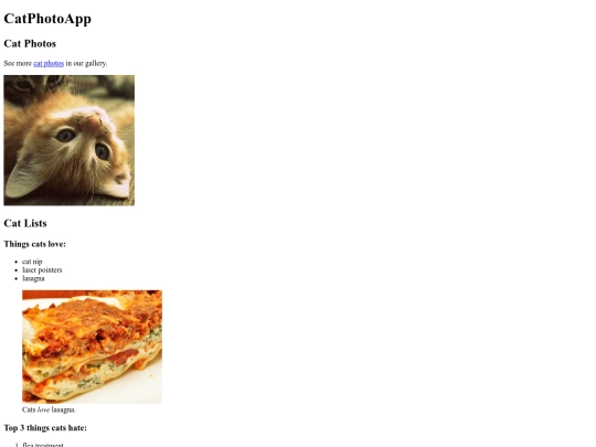 FreeCodeCamp/Cat Photo App screenshot