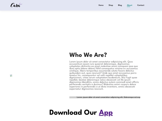 ECOMMERCE/html/about screenshot