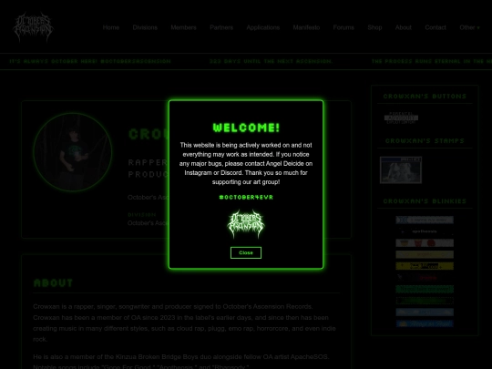 Website screenshot