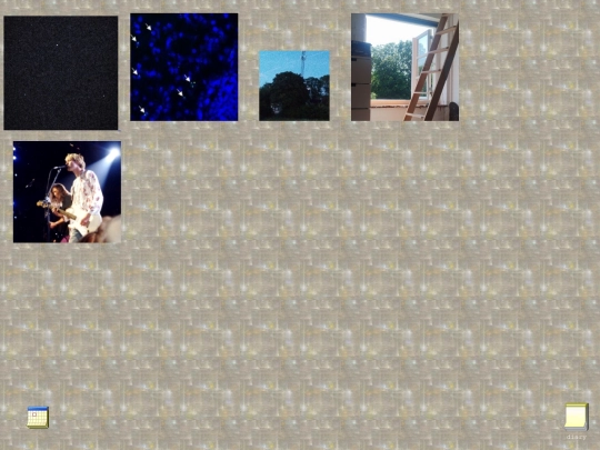 diary screenshot
