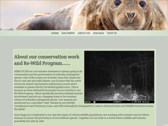 rewild screenshot