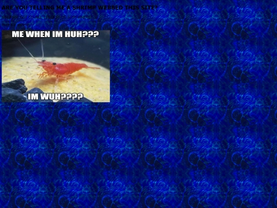Motherfucking Website screenshot
