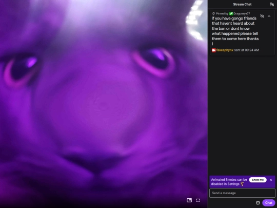 live screenshot