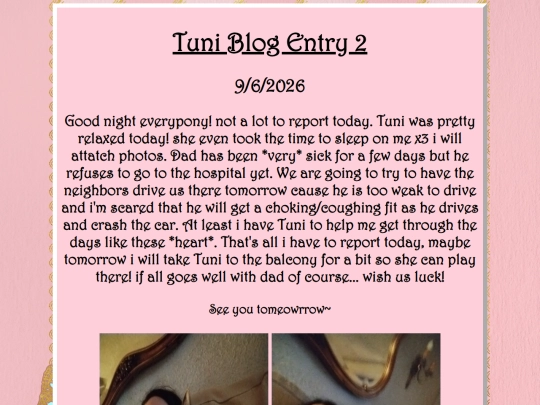 TuniBlogText screenshot