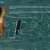 firuza's website avatar