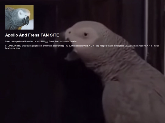ApolloAndFrensFANSITE screenshot