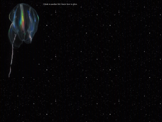 biolumin screenshot