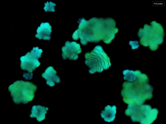 spiro5 screenshot