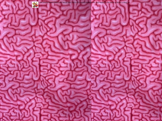 Fundirect screenshot