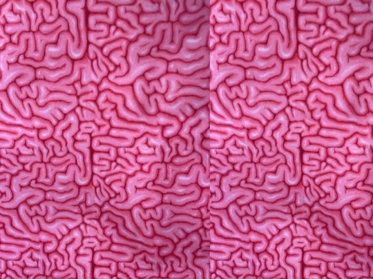 gallery screenshot