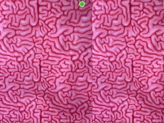 paul screenshot