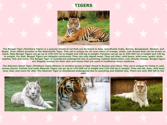 tiger screenshot