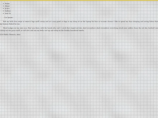 Website screenshot