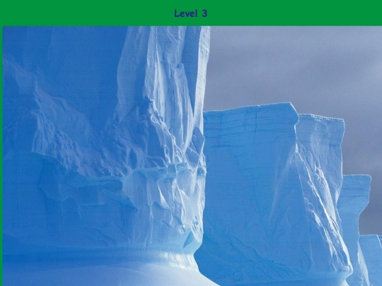 amazonas/bear screenshot