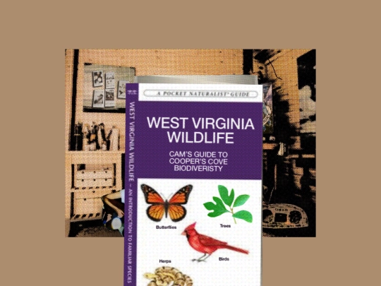 natureguide screenshot