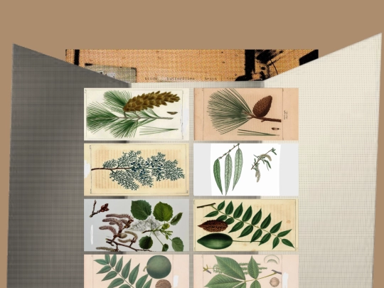 treelist screenshot