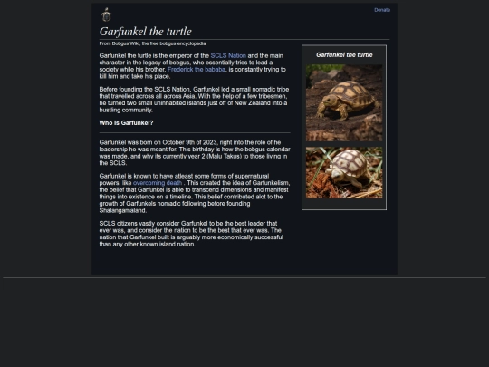 garfunkeltheturtle screenshot