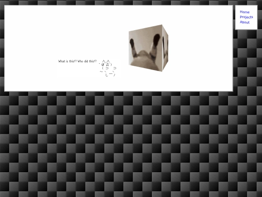 projects screenshot