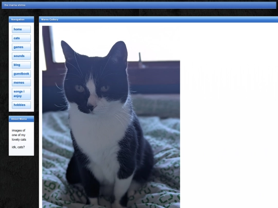 cats screenshot