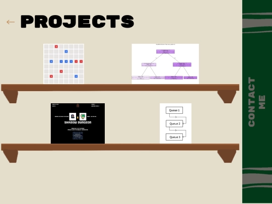 projects screenshot