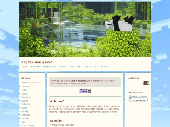 Website screenshot