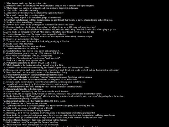 sharkfacts screenshot
