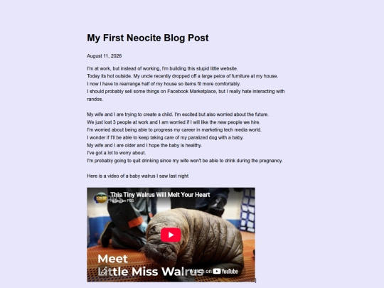 Blog/first-post screenshot