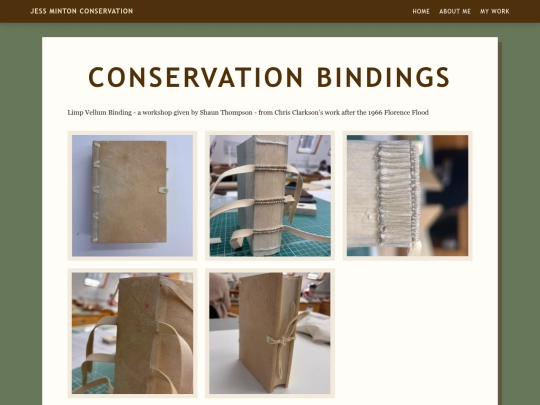 conservation-bindings screenshot