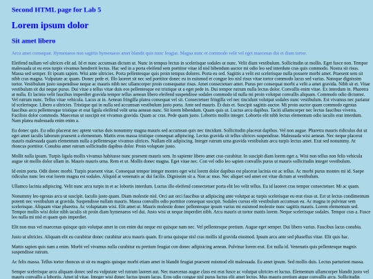 Project/Lab5/Lab5-Latin screenshot
