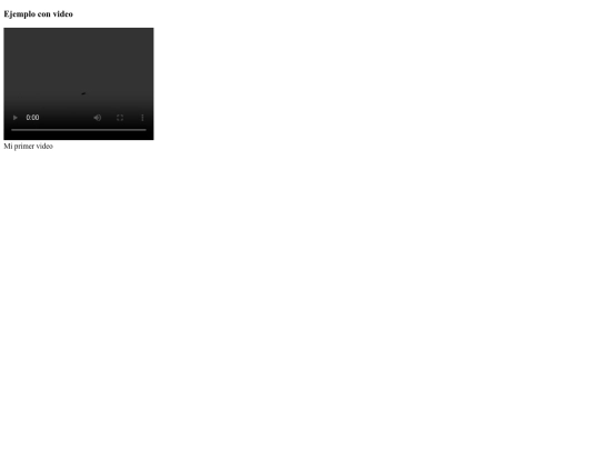 images/02_video_webm_mp4 screenshot