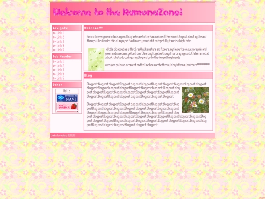 TheRamonaZone.com screenshot