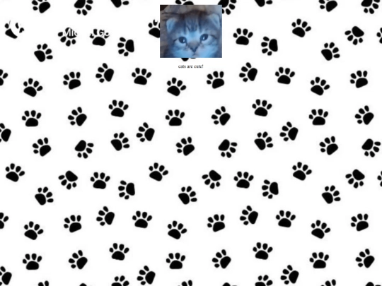 meow screenshot