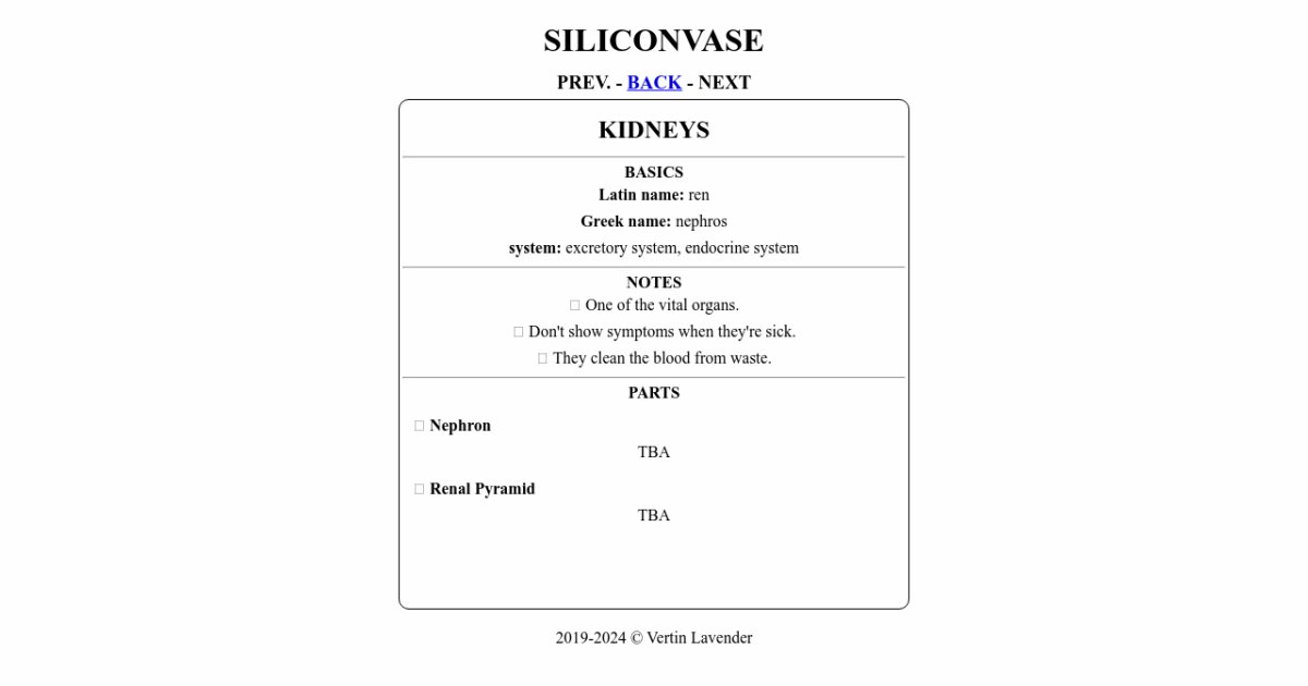 SILICONVASE Kidneys