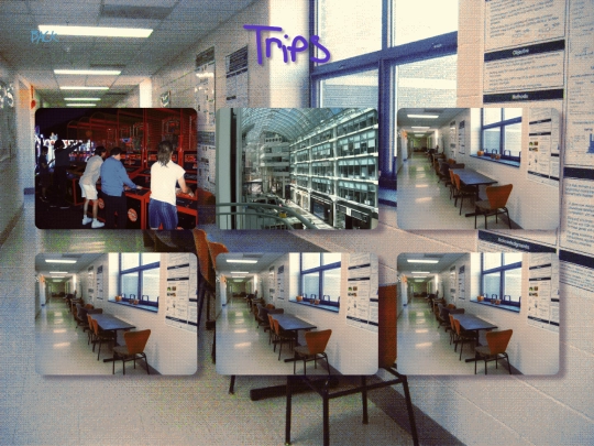 trips/trips screenshot