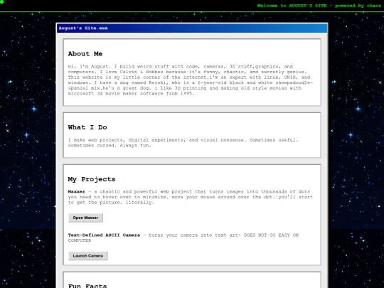 Website screenshot