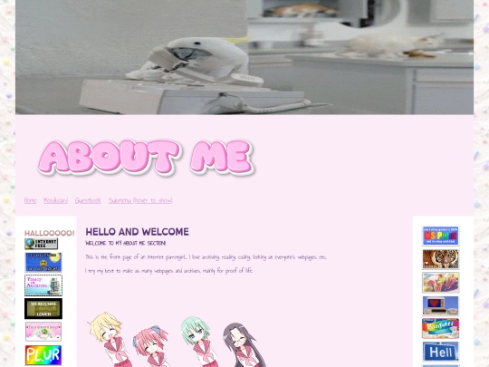 Portfolio /About me/Aboutmetest screenshot