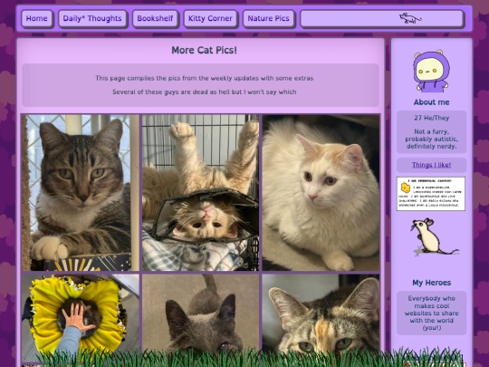 cat-pics screenshot