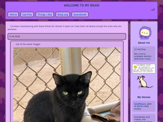 kitty-updates screenshot