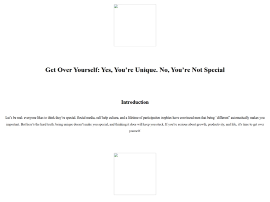 essays/essaysPRIME/essaysA/essay25 screenshot