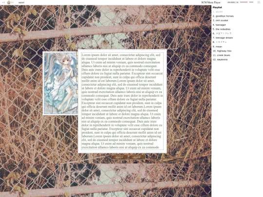 more screenshot