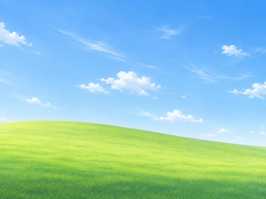 paint.exe/paint screenshot