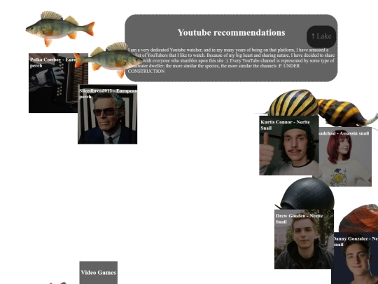Youtube screenshot