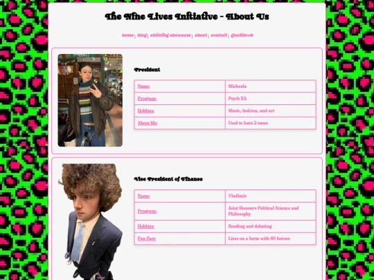 Website screenshot