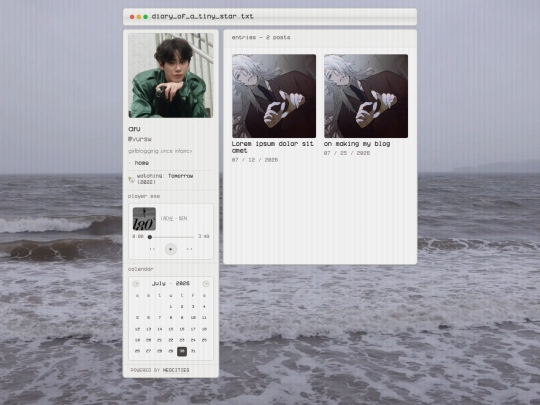 diary screenshot