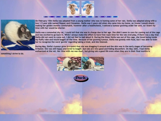 rainbow_bridge/stella screenshot