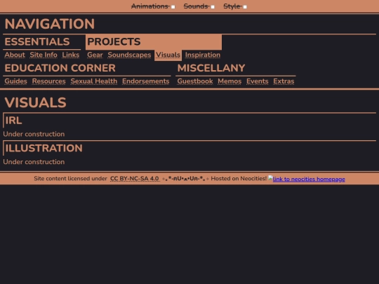 projects/visuals screenshot